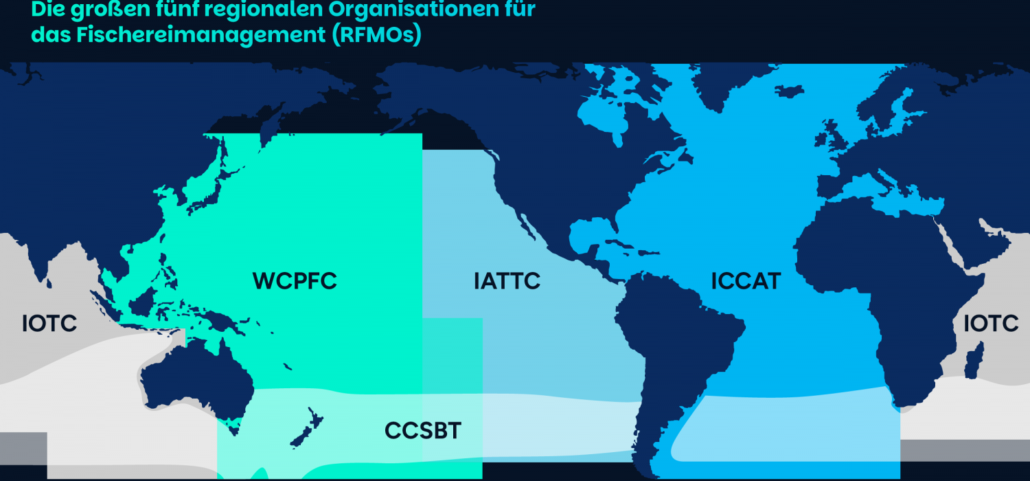Die großen fünf regionalen Organisationen für das Fischereimanagement (RFMOs). Das sind IOTC,