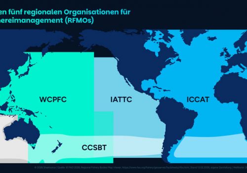 Infografik über die großen fünf regionalen Organisationen für das Fischereimanagement (RFMOs)