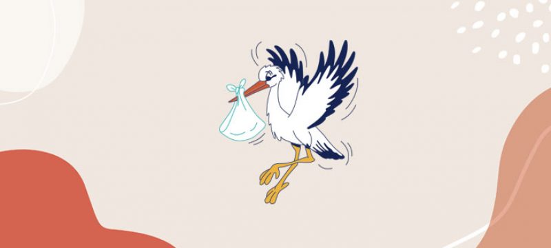 Projektvorschau: Illustration von einem Storch der ein Beutel um den Schnabel trägt auf rosa farbigem Hintergrund, verlinkt zur Detailseite.